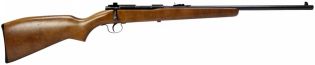 Winchester Model 121 22LR Rifle - Used in Good Condition